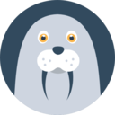 animals,wildlife,nature,animal kingdom,zoo,sea lion